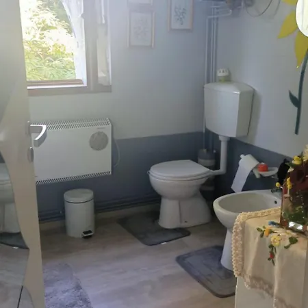 Ferienhaus Appartamento-ziona Carro